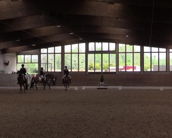 Reitturnier Leverkusen-Rheindorf 2017