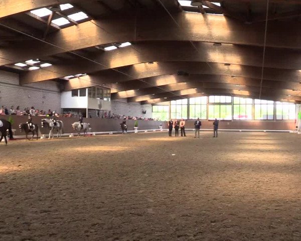 Reitturnier Leverkusen-Rheindorf 2017