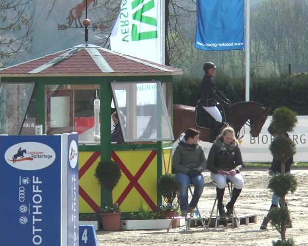 Reitturnier Werne-Lenklar 2017