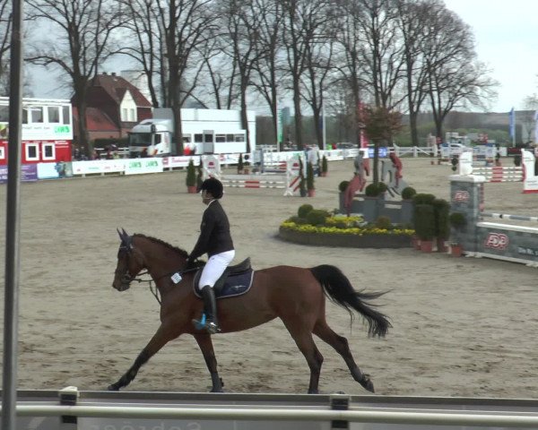 Reitturnier Werne-Lenklar 2017