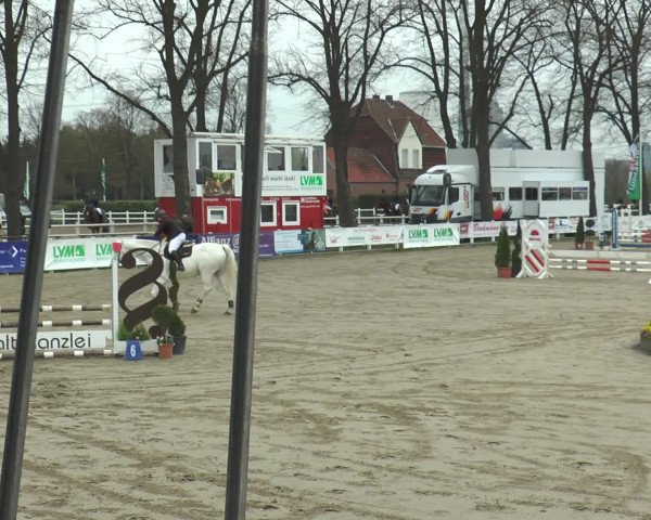 Lenklarer Reitertage 2017