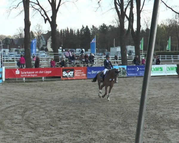 Lenklarer Reitertage 2017