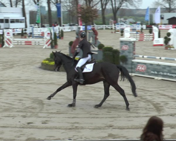 Lenklarer Reitertage 2017