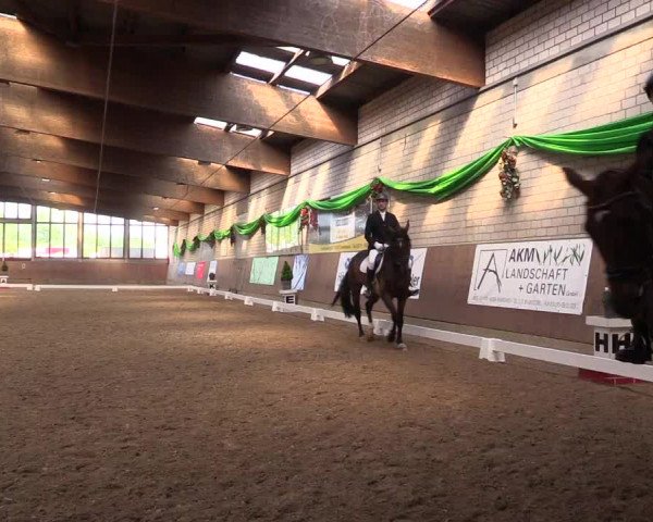 Reitturnier Leverkusen-Rheindorf 2017