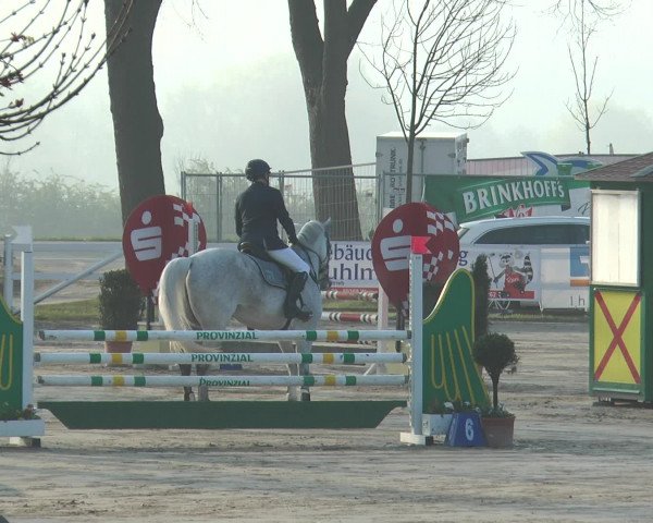 Lenklarer Reitertage 2017