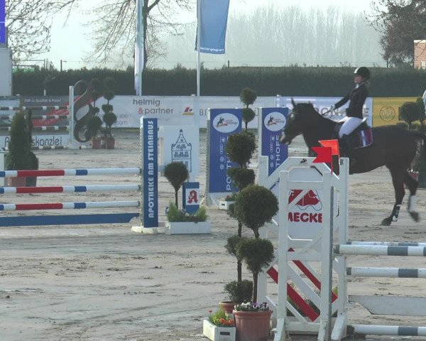 Reitturnier Werne-Lenklar 2017