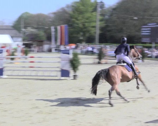 Reitturnier Bottrop 2017