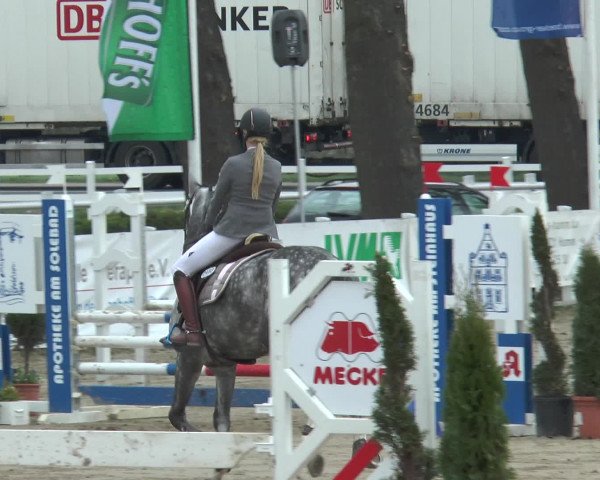 Reitturnier Werne-Lenklar 2017