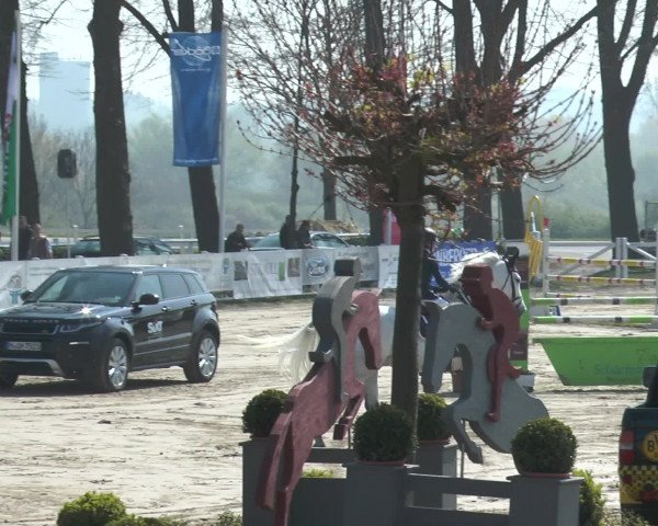 Lenklarer Reitertage 2017