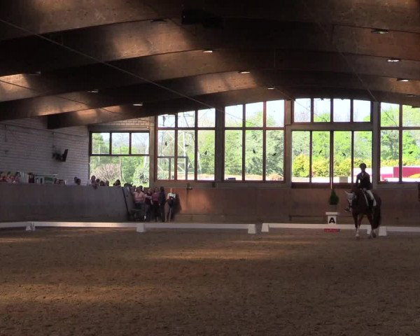 Reitturnier Leverkusen-Rheindorf 2017