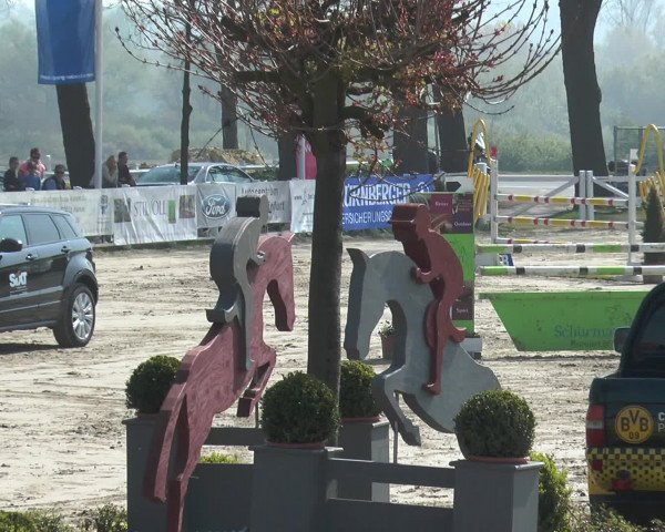 Reitturnier Werne-Lenklar 2017