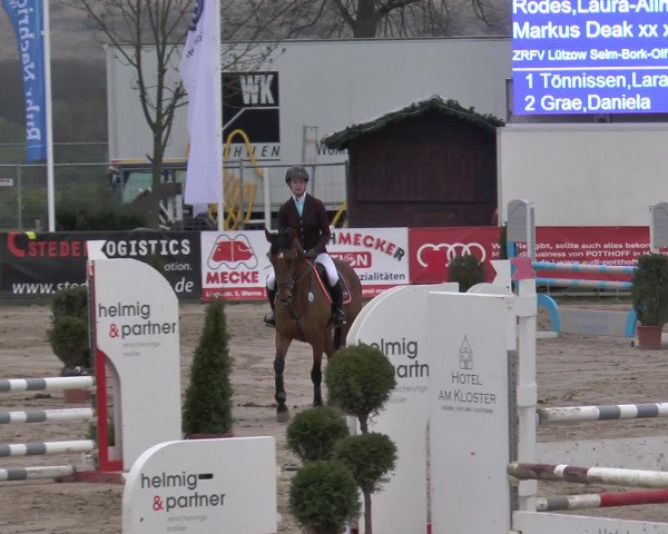 Reitturnier Werne-Lenklar 2017
