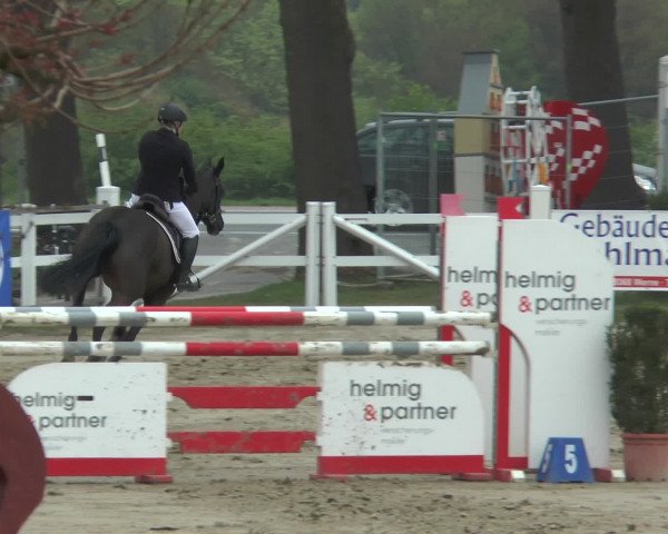 Reitturnier Werne-Lenklar 2017