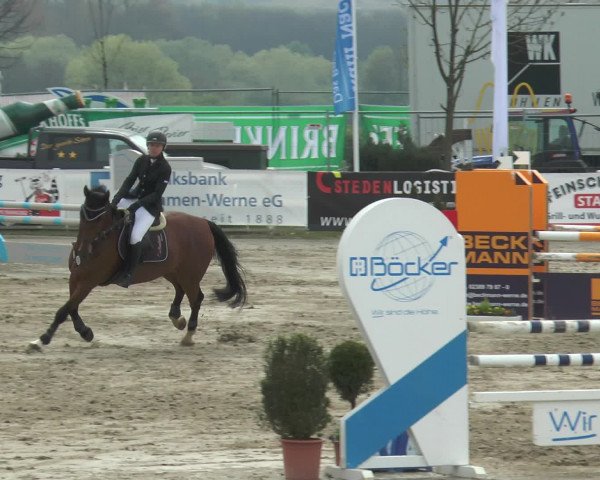 Reitturnier Werne-Lenklar 2017