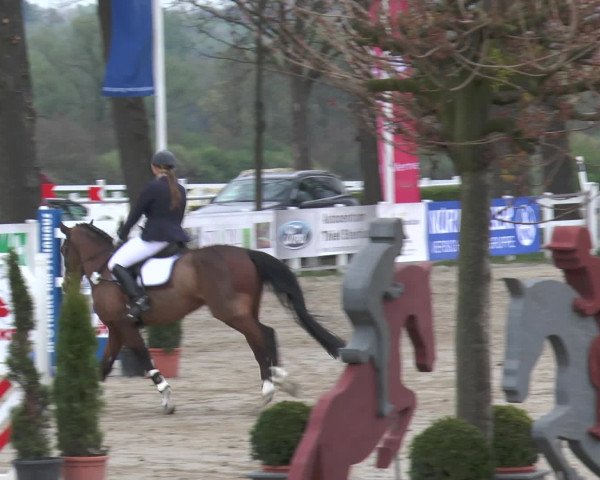 Reitturnier Werne-Lenklar 2017