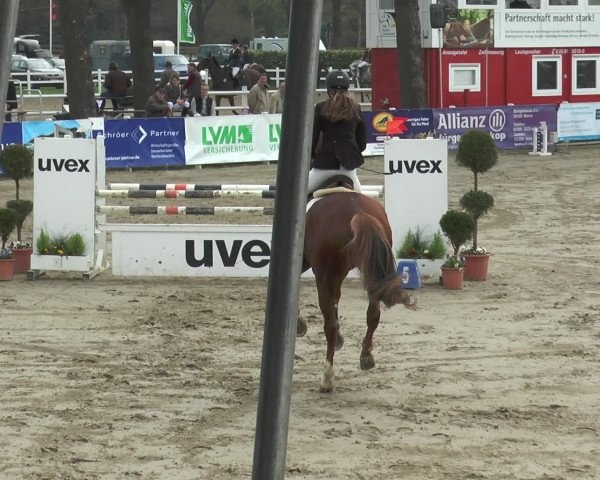Lenklarer Reitertage 2017