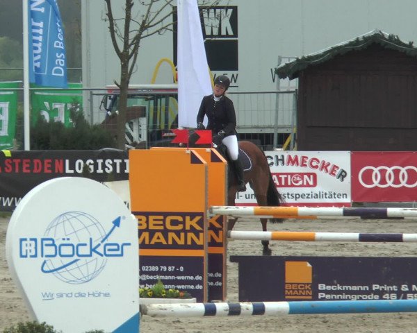 Lenklarer Reitertage 2017
