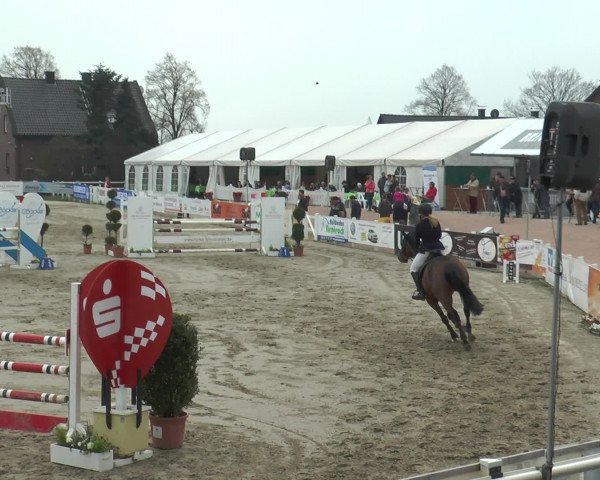 Reitturnier Werne-Lenklar 2017