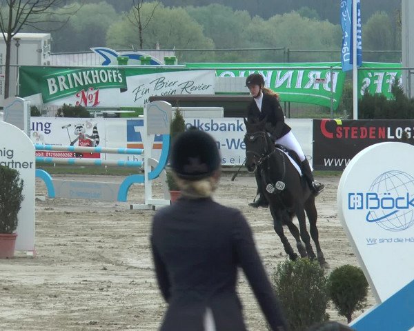 Reitturnier Werne-Lenklar 2017