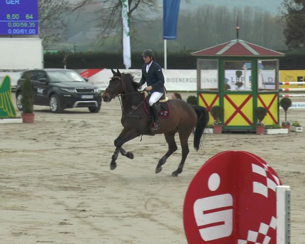 Lenklarer Reitertage 2017