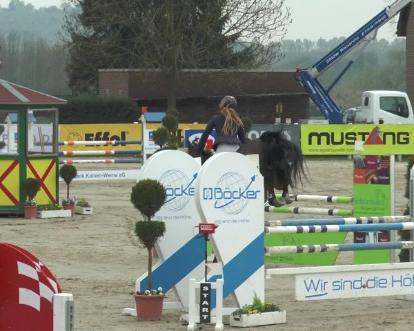 Lenklarer Reitertage 2017