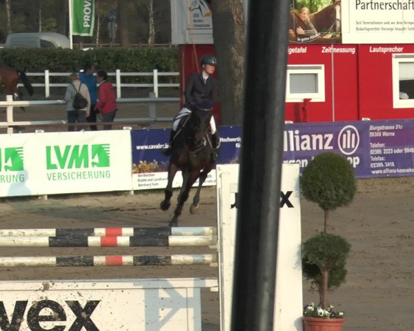 Reitturnier Werne-Lenklar 2017