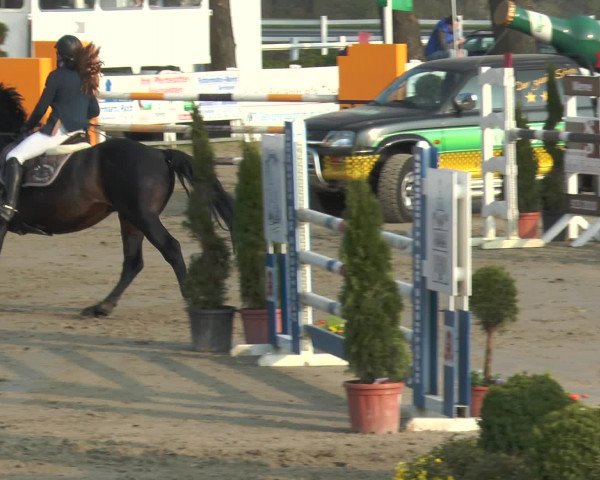 Lenklarer Reitertage 2017