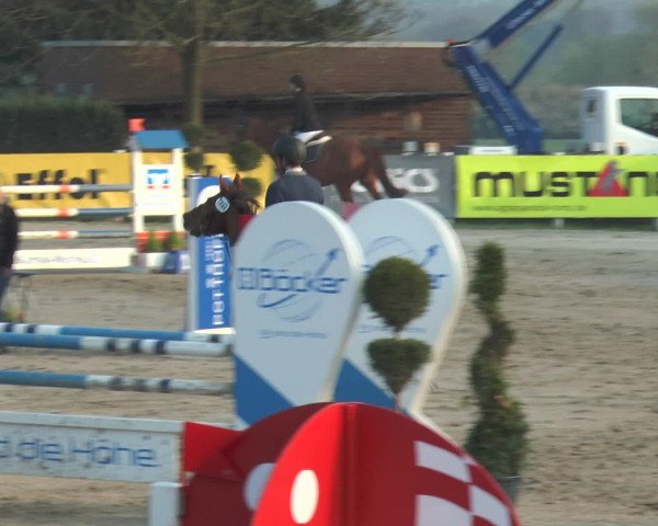 Reitturnier Werne-Lenklar 2017