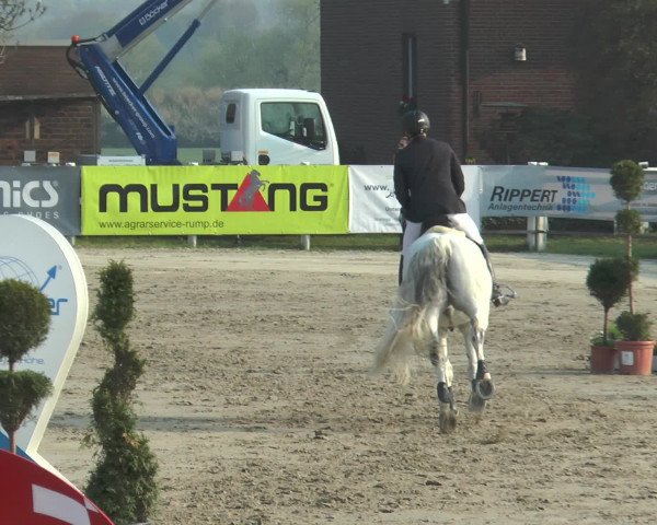 Reitturnier Werne-Lenklar 2017