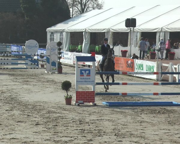 Lenklarer Reitertage 2017