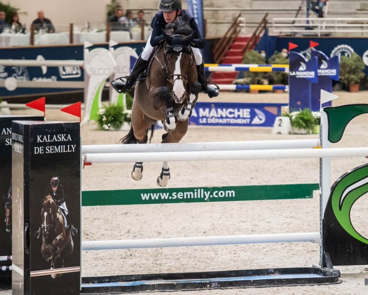 Springpferd Giolita (KWPN (Niederländisches Warmblut), 2011, von C-Ingmar)