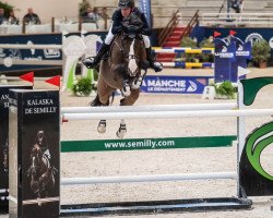 jumper Giolita (KWPN (Royal Dutch Sporthorse), 2011, from C-Ingmar)