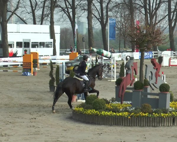Reitturnier Werne-Lenklar 2017