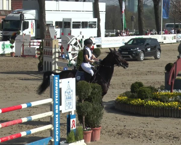 Reitturnier Werne-Lenklar 2017