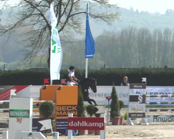 Lenklarer Reitertage 2017