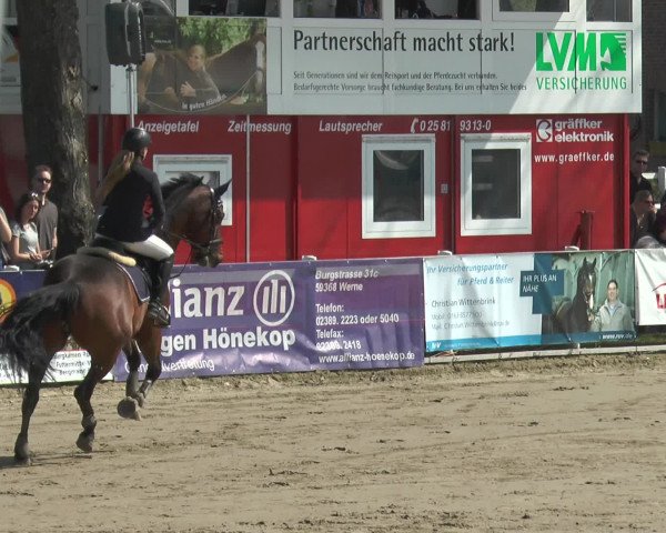 Reitturnier Werne-Lenklar 2017