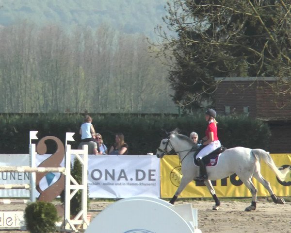 Lenklarer Reitertage 2017