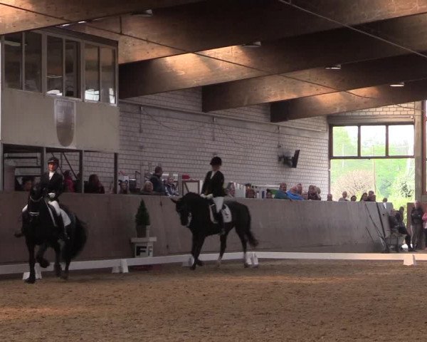 Reitturnier Leverkusen-Rheindorf 2017