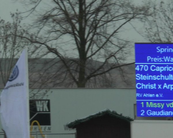 Lenklarer Reitertage 2017