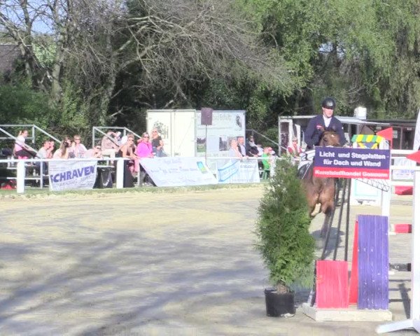 Reitturnier Bottrop 2017