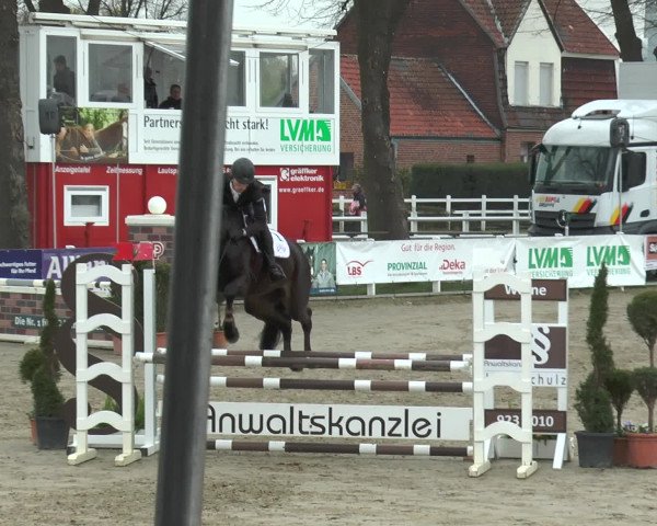 Lenklarer Reitertage 2017