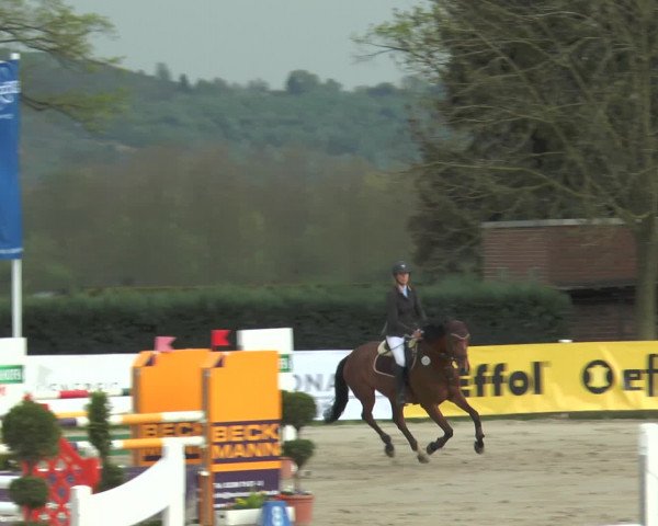 Reitturnier Werne-Lenklar 2017