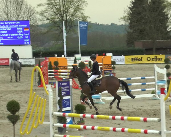 Reitturnier Werne-Lenklar 2017