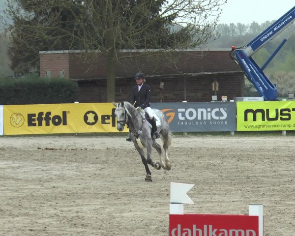 Lenklarer Reitertage 2017