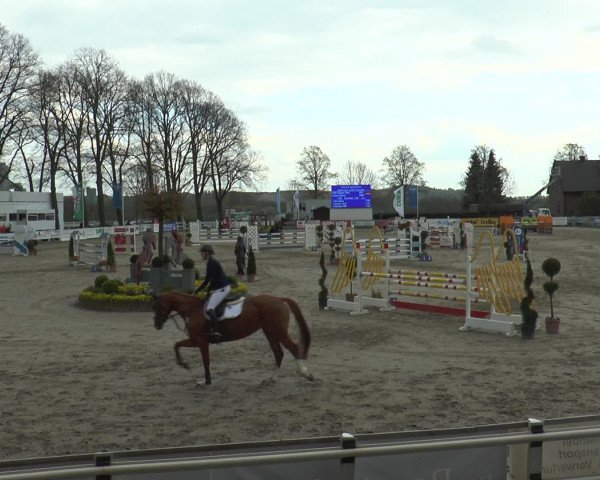 Lenklarer Reitertage 2017
