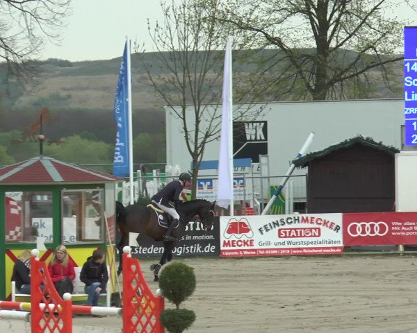 Reitturnier Werne-Lenklar 2017