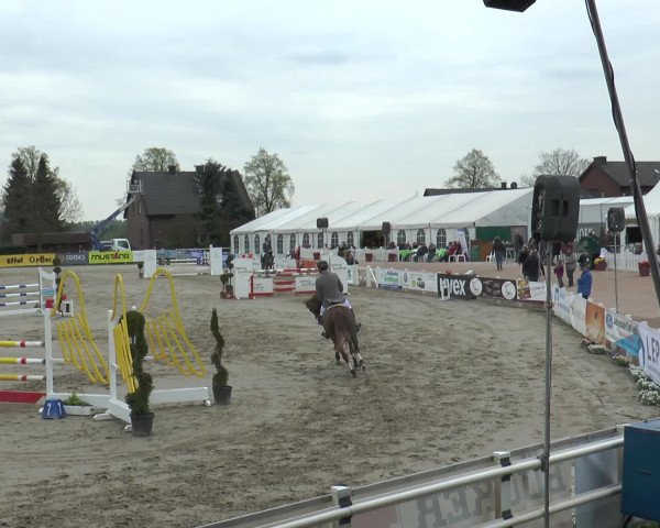 Lenklarer Reitertage 2017
