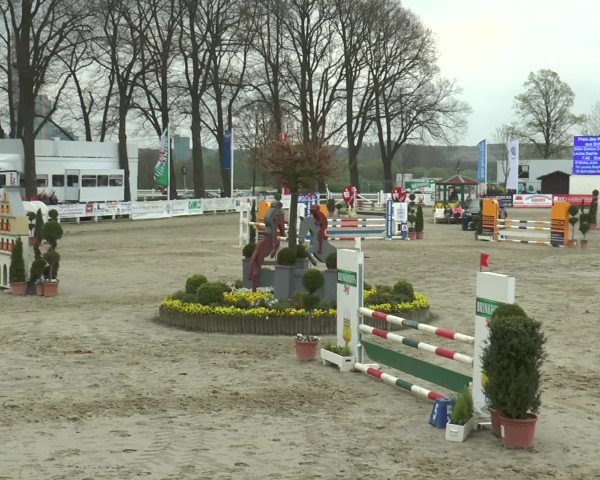 Reitturnier Werne-Lenklar 2017