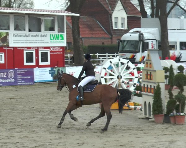 Reitturnier Werne-Lenklar 2017