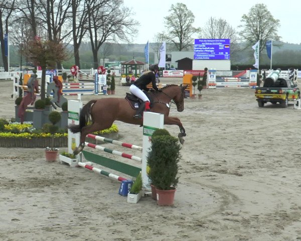 Lenklarer Reitertage 2017